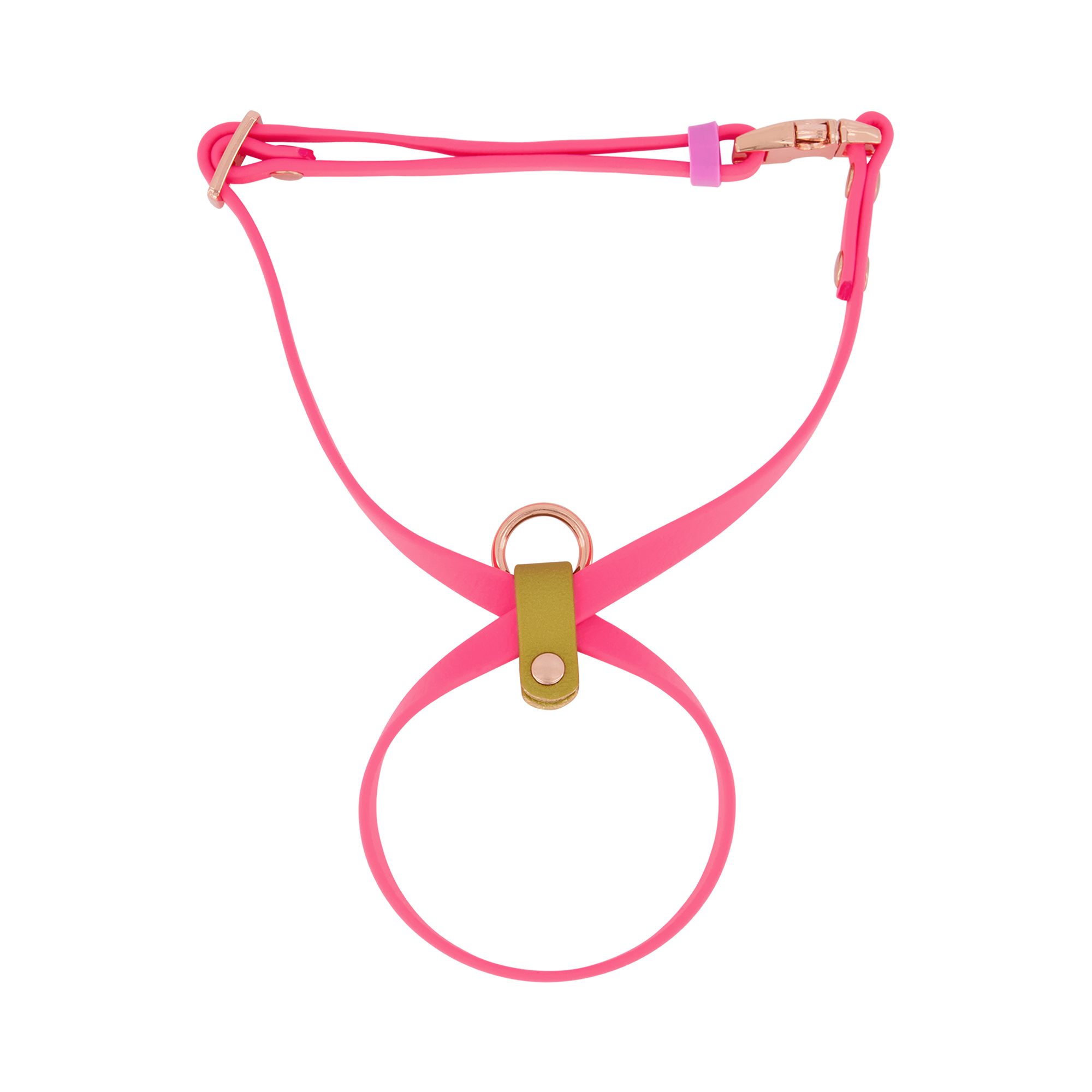 Figure 8 Cat Harness BioThane® Led & Collared NZ